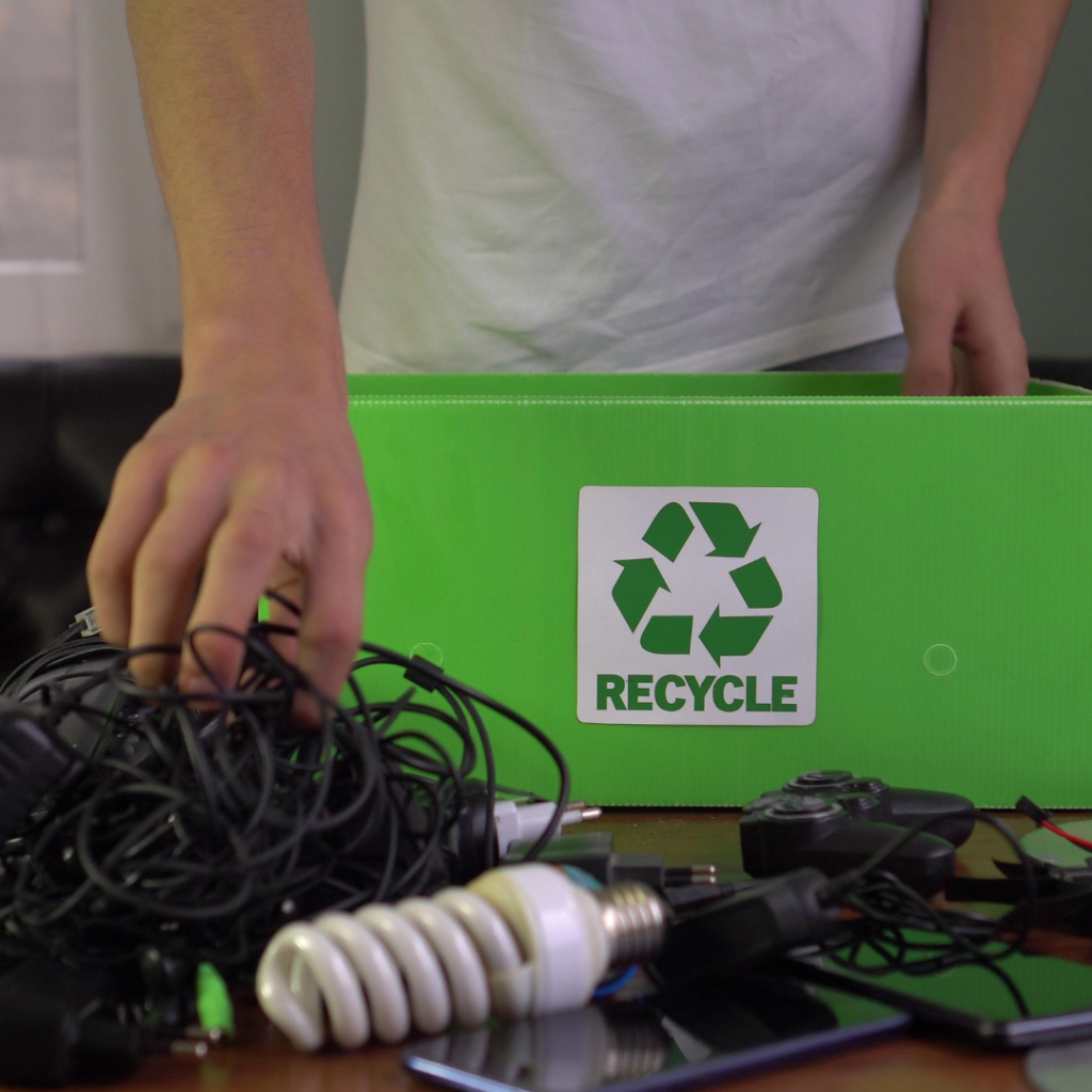 Какво е екология?