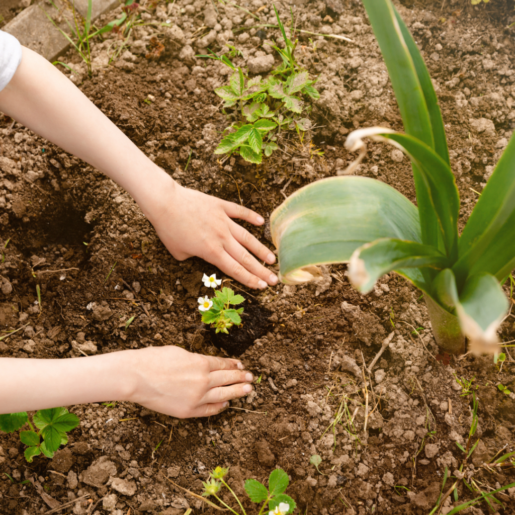 Какво е екология?