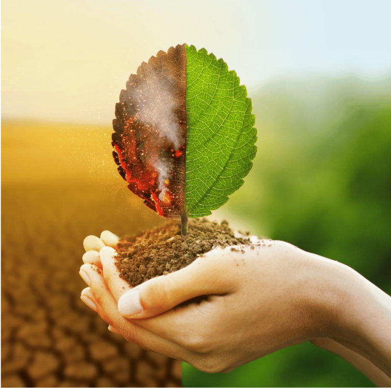 Как отпадъците са причина за климатичните промени?