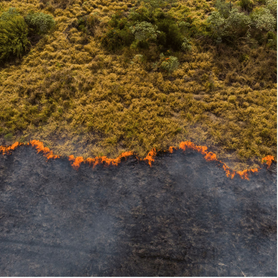 Как отпадъците са причина за климатичните промени?